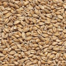 Солод для пива Roasted Barley 5 кг