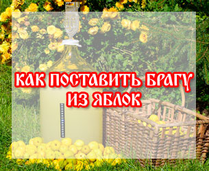 фото Как приготовить брагу из яблок для самогона