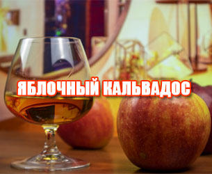 фото Кальвадос из яблок: рецепты домашнего бренди своими руками